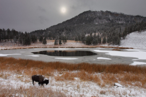 yellowston winter